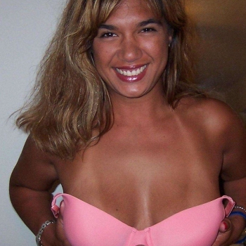Beetjegekwellekker